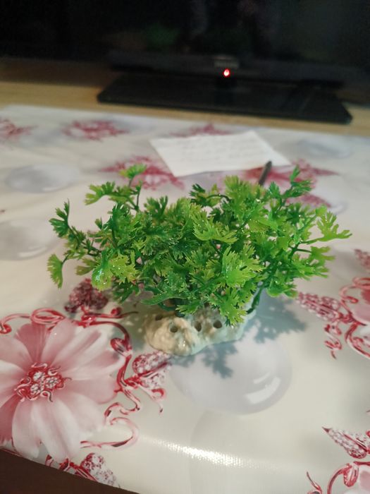 Продам декорации .