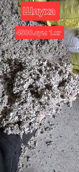 Бугдой   Жухори   Кунжара  Шрот  Арпа Шлуха Рапис  сфатлари алооо