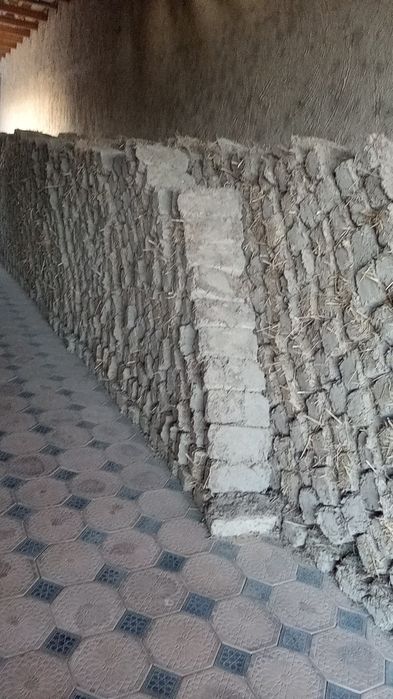 Лой гиштлар сотилади