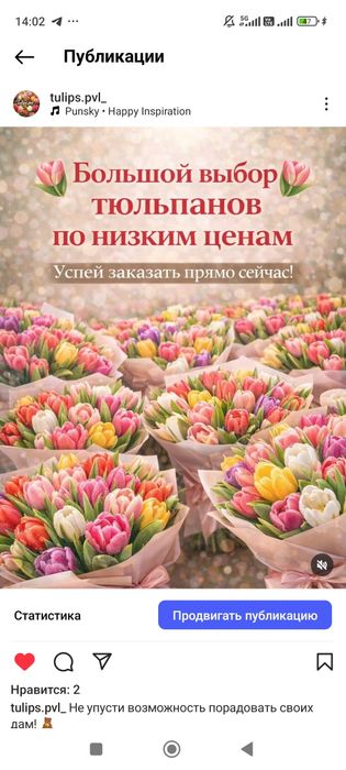 Тюльпаны к 8 марта! РОЗНИЦА