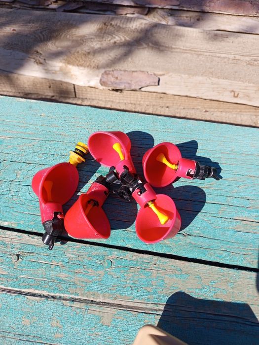 Поилка для птенцов