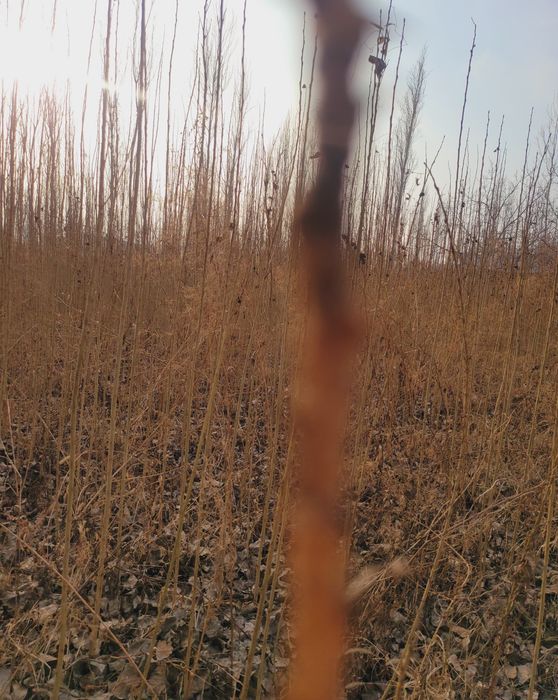 Терак кучат бор оптим сотлади  оладиган одамга келиштириб берамиз