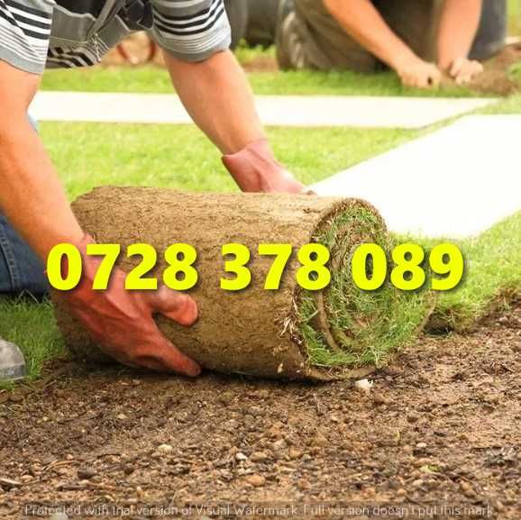 Gazon / Insamantare / Rulouri de Gazon