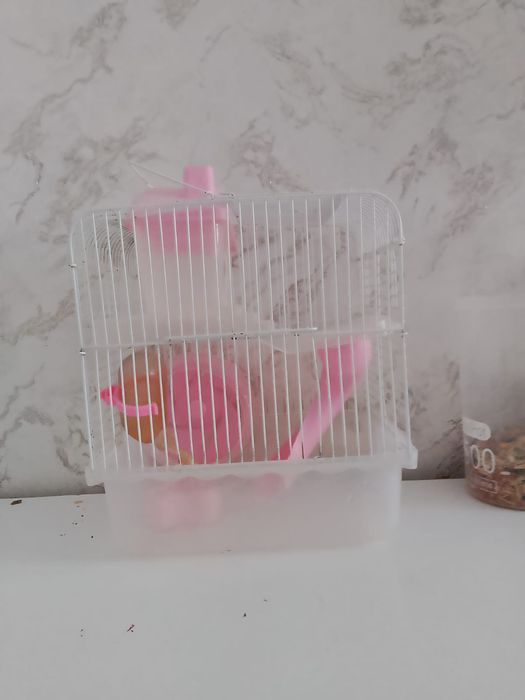 Продам клетку двухъярусную