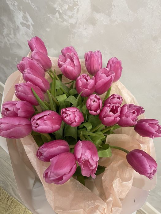 Продам тюльпаны