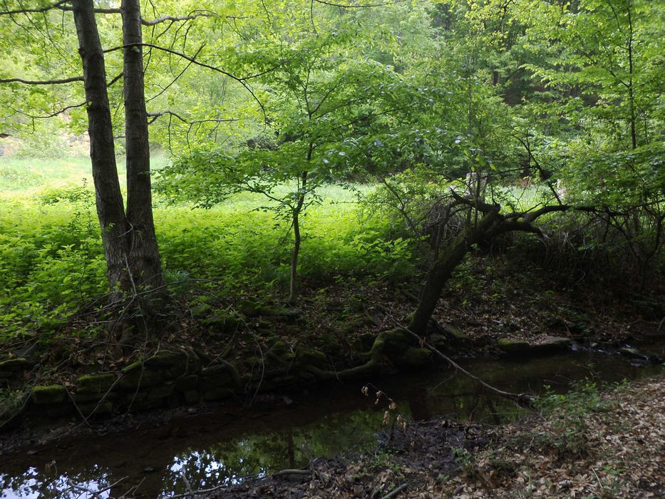 Продава се Къща в с. Бойновци, Област Габрово - 500 кв.м за 37 €/кв.м - Снимка #9