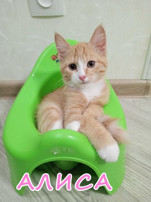 Солнечная девочка