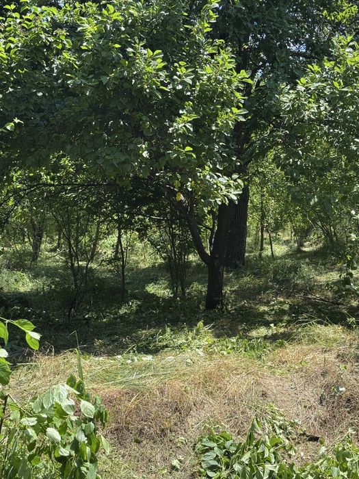 Teren de vânzare 2656 metri cu casă bătrânească