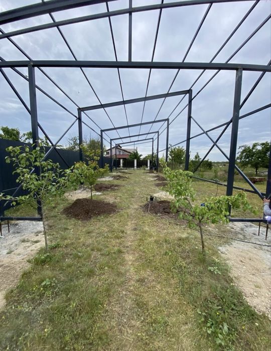 Hala metalica din structuri metalice