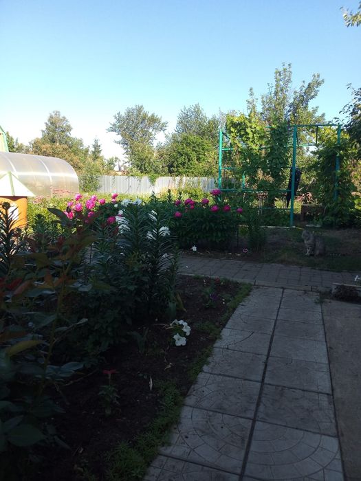 Продам дом в дачном обществе Садовод