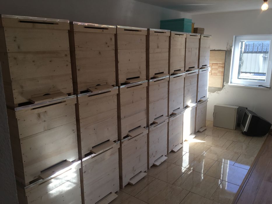 Stupi verticali. 12 rame