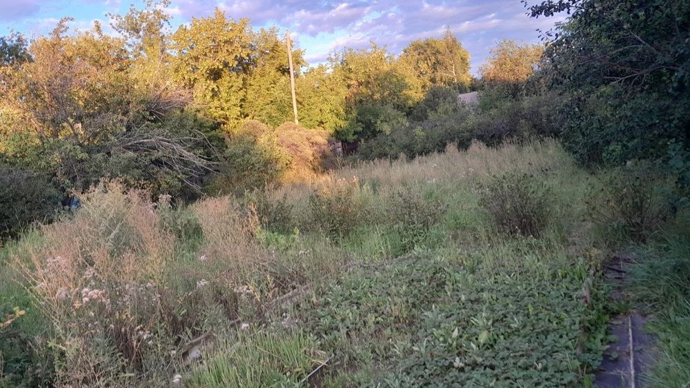 Продаю дачный участок