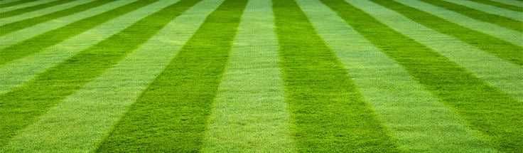 Искусственный газон из Турции — Ultra Spine в Ташкенте