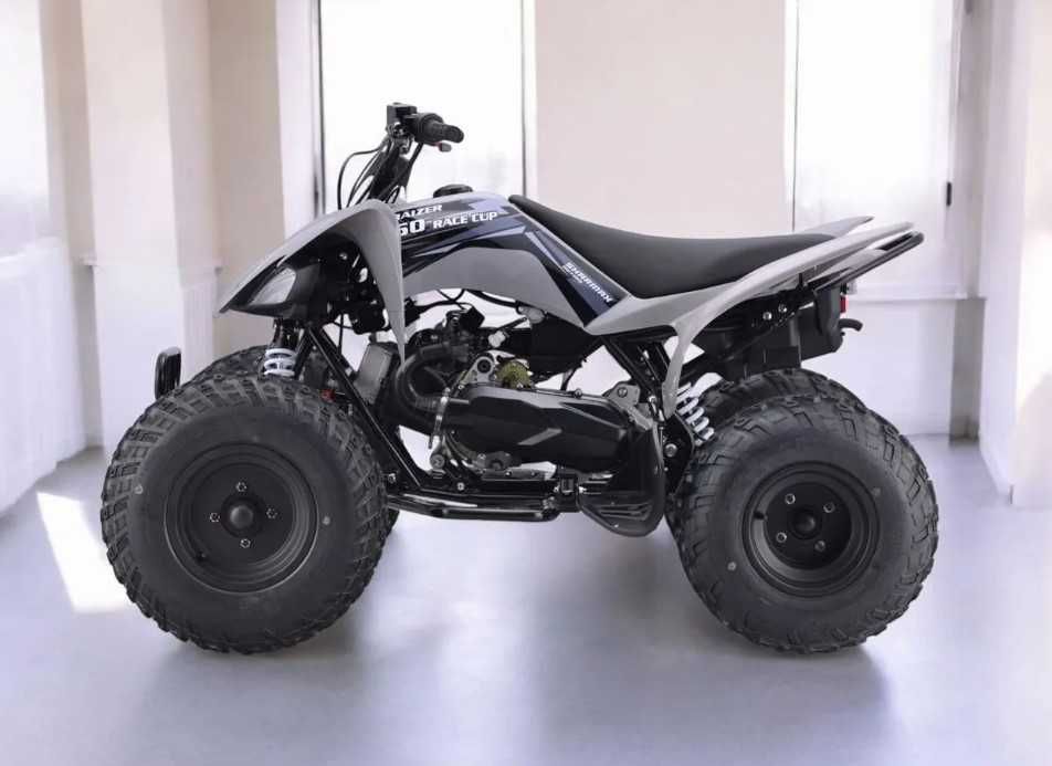 Квадроцикл Sharmax Raizer Race Cup 250