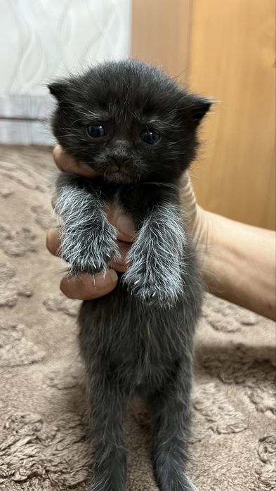 Хороший друг для Вас