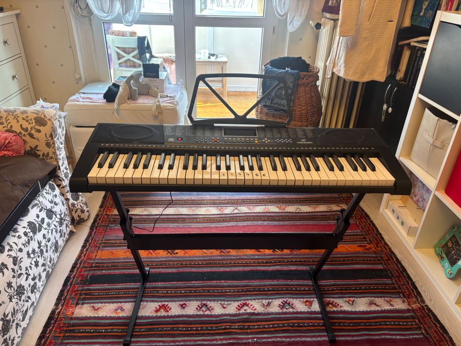 Pian electronic (orga )