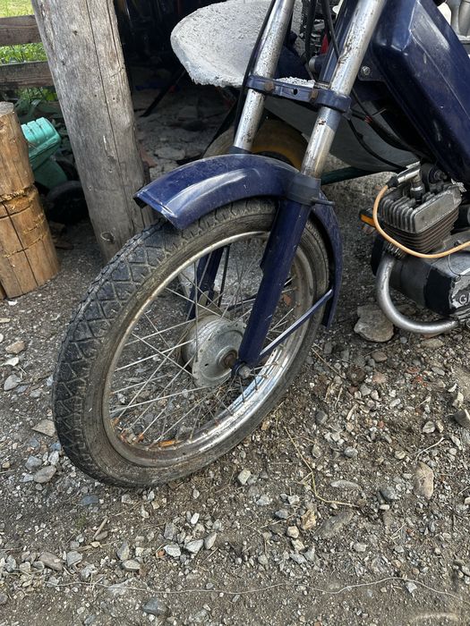 Moped gareli vip