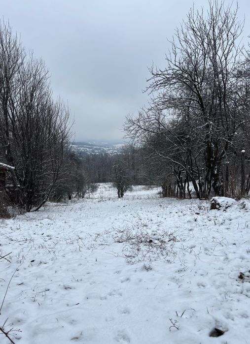 Teren Cerbureni Arges