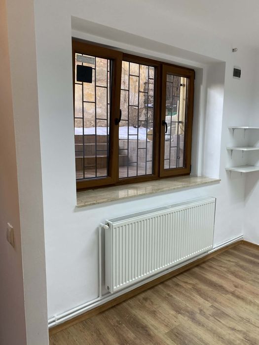 De închiriat spațiu – zonă centrală, Horea