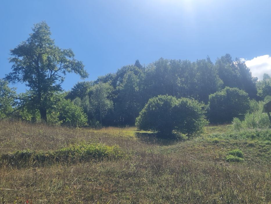 Продавам гора 9700 кв.м. в гр.Смолян,кв.Устово,над Комуна