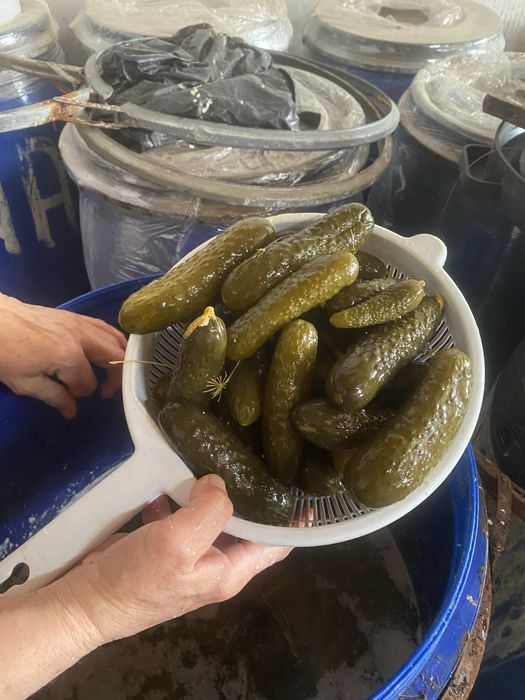 Castraveti murati si varza murata de vanzare