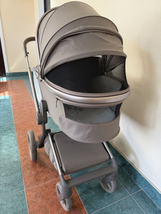 Коляска Anex Flo