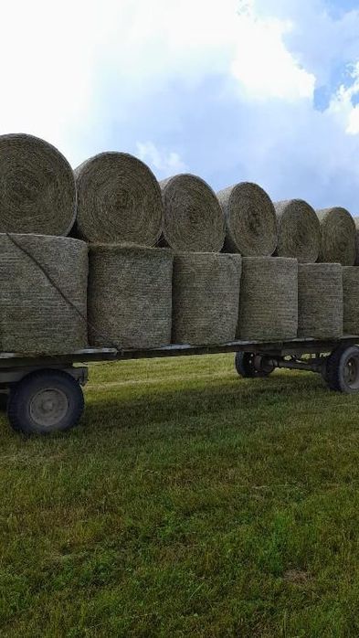 Fân și otava de vânzare