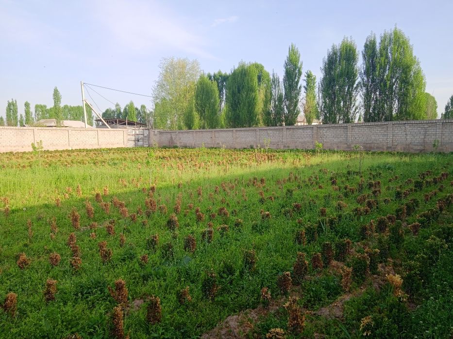 йер сотилади