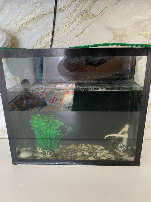 Продам акварим для рыбы