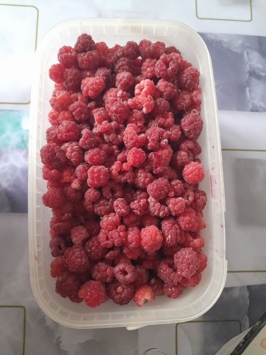 Малина местная свежая