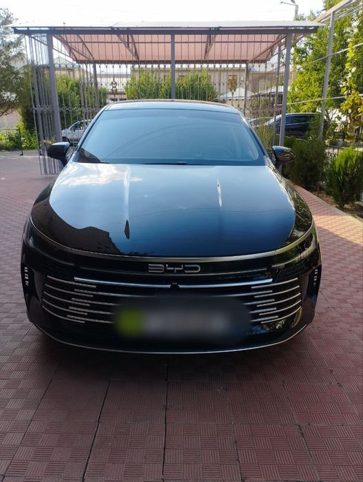 Byd chazor 2024 55 км