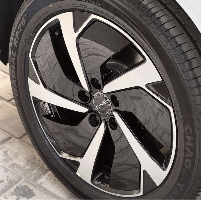 Sea lion 06 от Byd