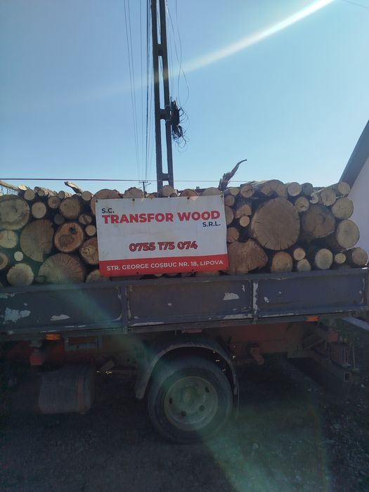 Lemne de foc esență tare