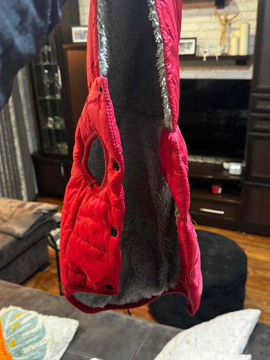 отдам вещи для собаки