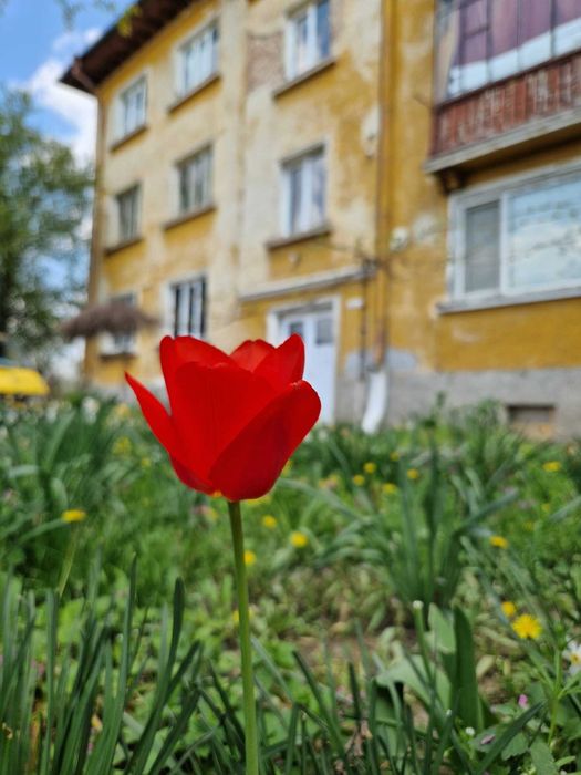 Апартамент в Долна Митрополия до Плевен .