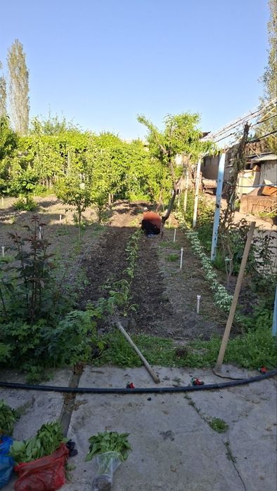 Сдается участок под фермерский бизнес, 40 соток