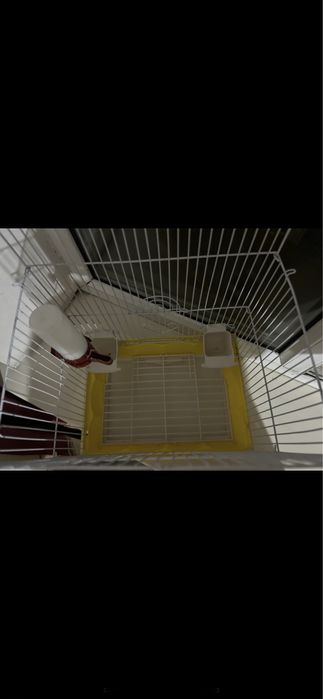 Клетка для попугая