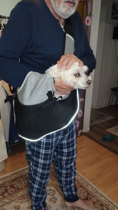 Vând geanta transport cățel,pisică