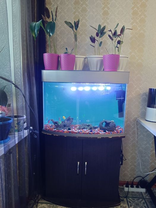 Срочно! Продам аквариум с рыбками.