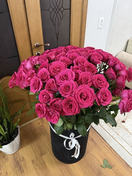 101 роза бугын келген