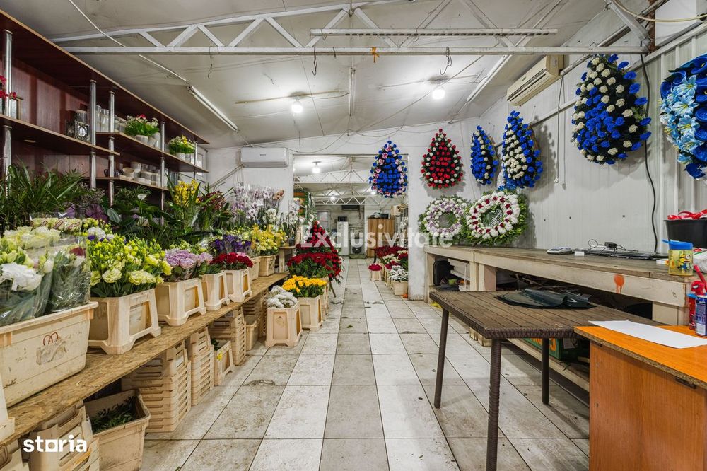 Casa, anexa, hala comerciala închiriată teren 400 mp 7 minute centru