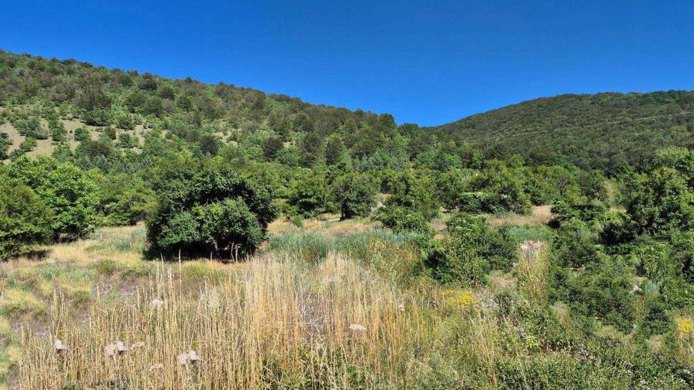 Парцели в регулация в село Боснек, Обл. Перник