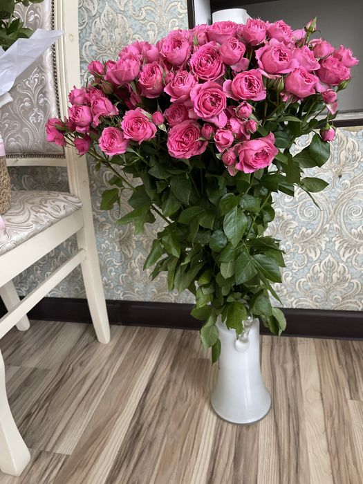 продам срочно цветы