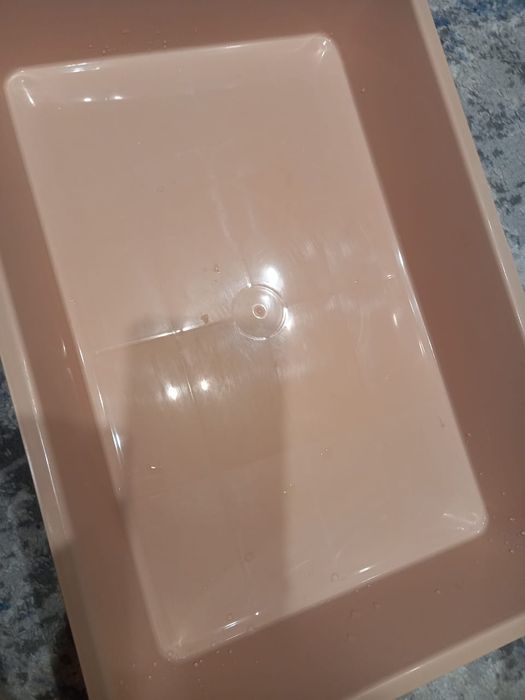 Лоток для котят 2000₸