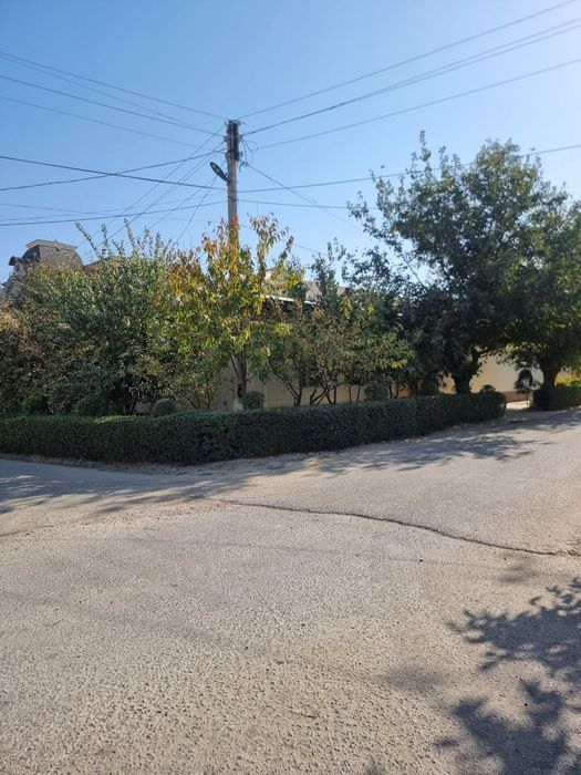 Ховли срочно сотилади. Тошкентга кучиб кетяпмиз