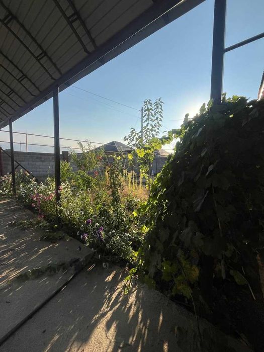 Продам Дом в Шамалган