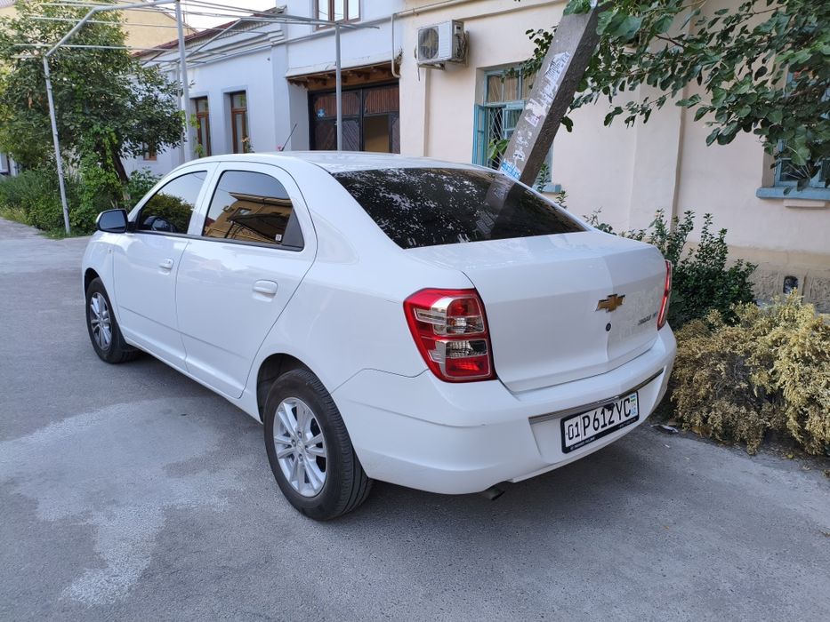 2025 cobalt stayl
