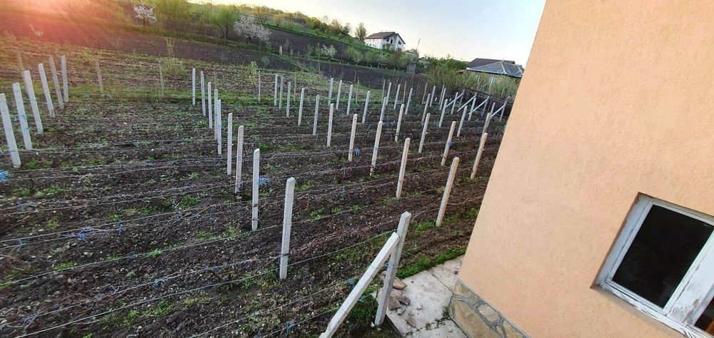 Vând casă și teren