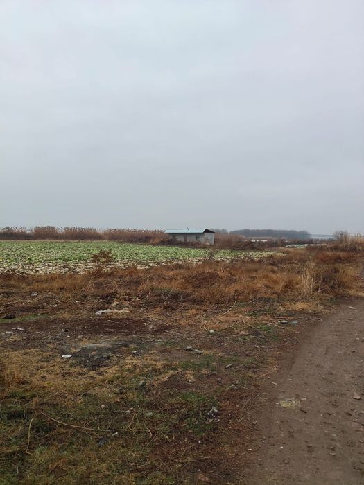 Продаётся крестьянское хозяйство!