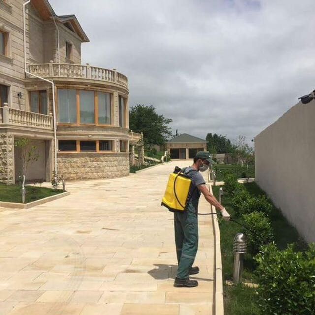 Dezinfeksiya hizmati